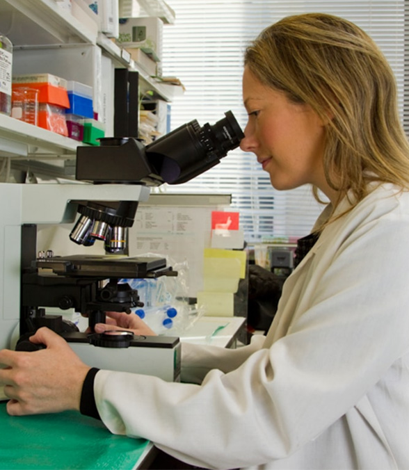 Researcher-microscope